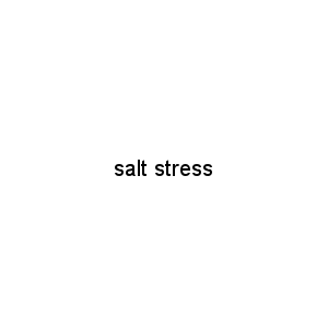 salt stress
